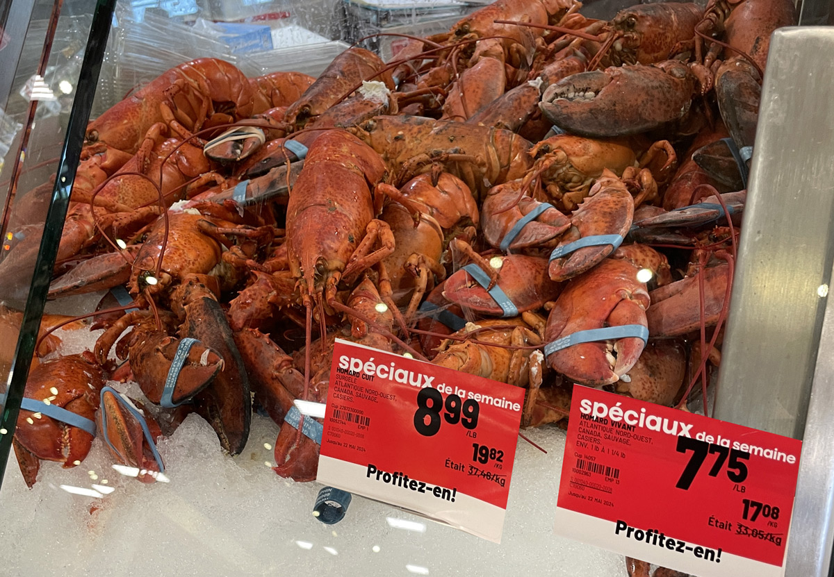 Rabais sur le homard vivant: comparez les prix 2026