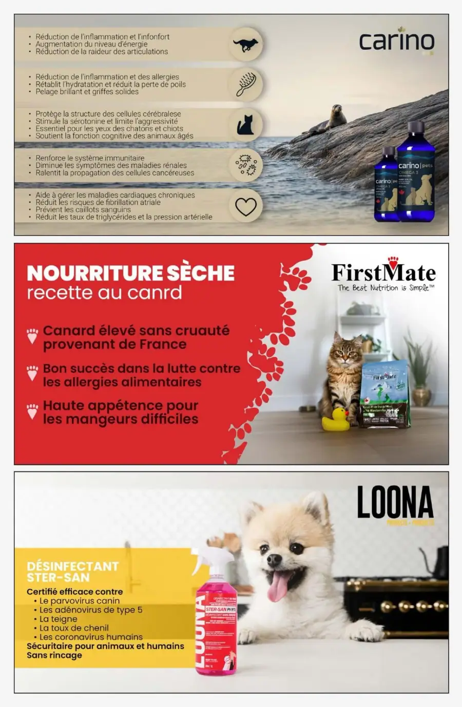 Page 9 du circulaire Animo etc.