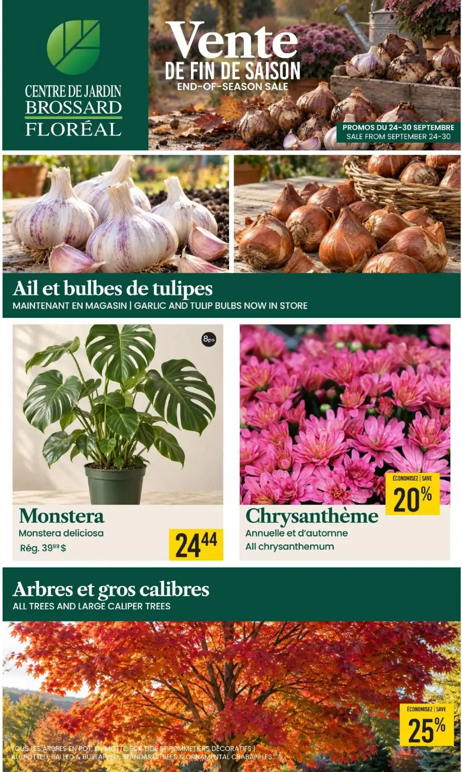 La page de couverture de la circulaire du Centre de Jardin Brossard présente une ambiance automnale chaleureuse, mettant en avant des produits de jardinage. Les catégories incluent l'ail et les bulbes de tulipes, avec des images de bulbes frais, ainsi que des plantes comme la Monstera et des chrysanthèmes, affichant une promotion de 20 %. Les arbres et gros calibres sont également mis en avant, avec une réduction de 25 %.