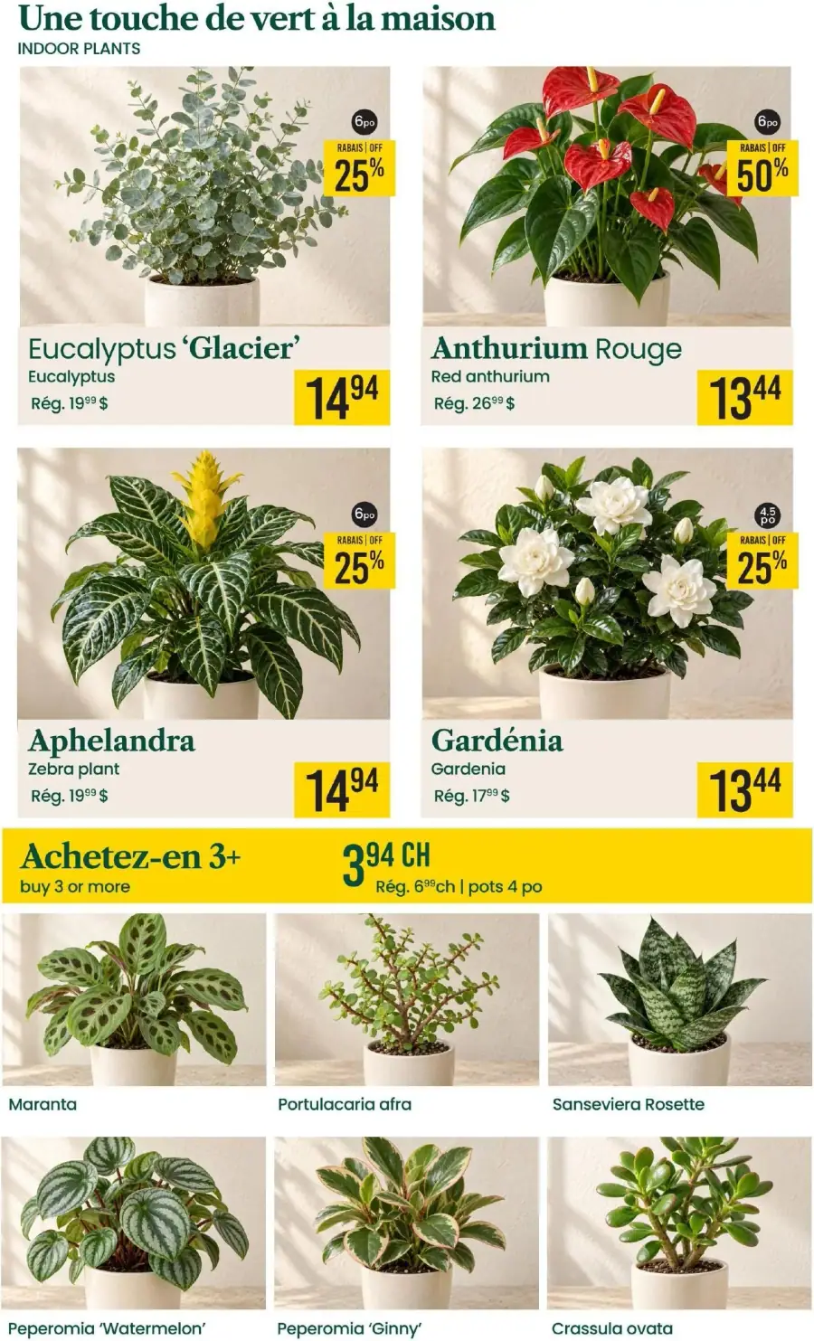 Page 4 du circulaire Centre de Jardin Brossard.