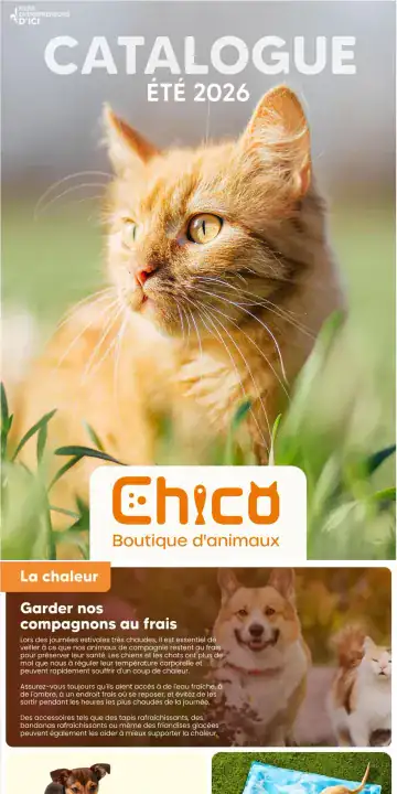 Aperçu de la Circulaire Chico Catalogue d’été du 18 mai au 10 août 2026