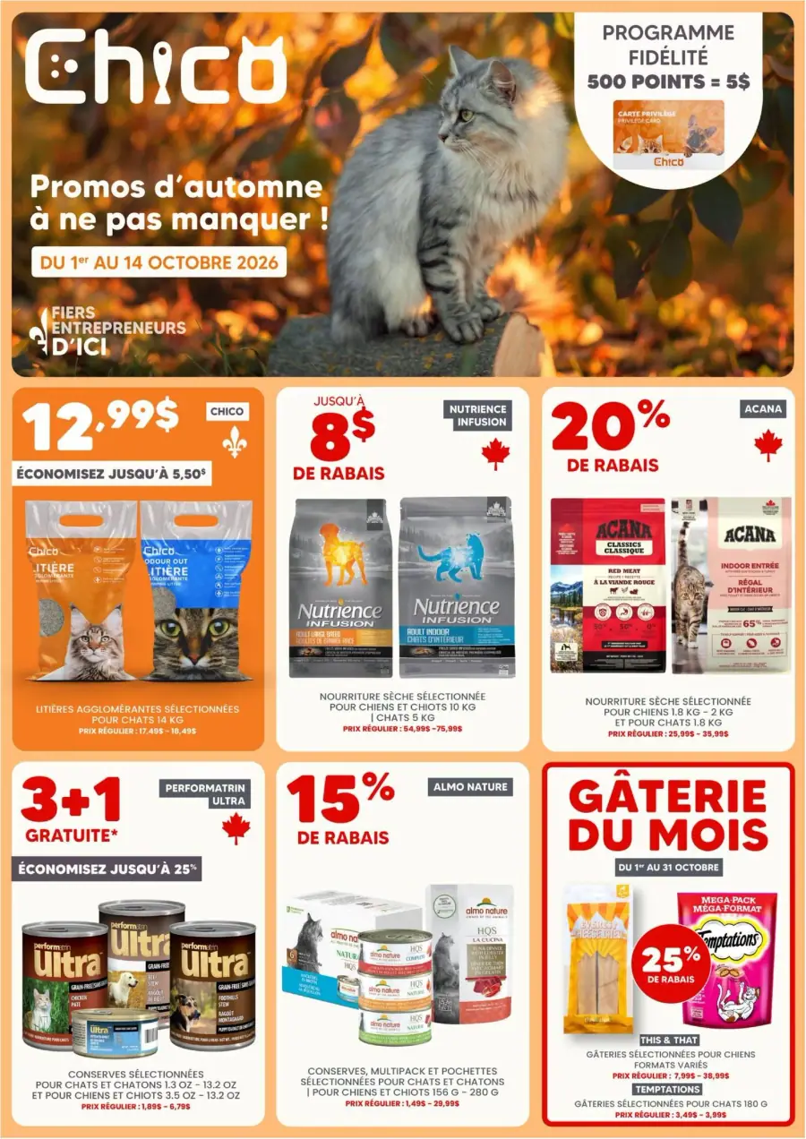La page de couverture de la circulaire Chico présente une ambiance automnale chaleureuse, avec un chat gris sur fond de feuillage doré. Les catégories de produits mises en avant incluent les litières, la nourriture pour animaux, et des conserves. Parmi les promotions notables, on trouve des réductions allant jusqu'à 20 % sur les produits Acana et des offres spéciales comme un achat de trois conserves et une gratuite. Le programme de fidélité est également mis en avant, incitant à accumuler des points.