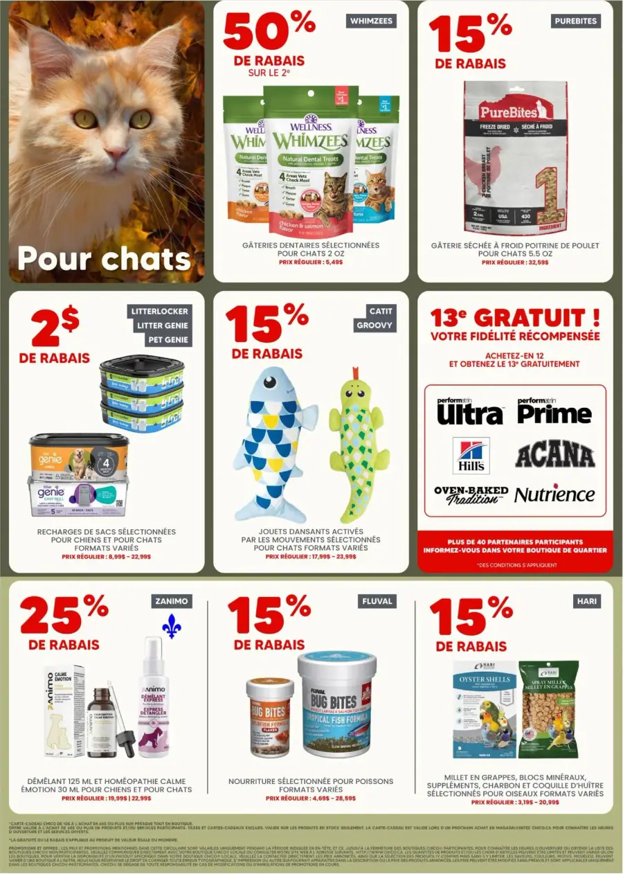 Page 3 du circulaire Chico.