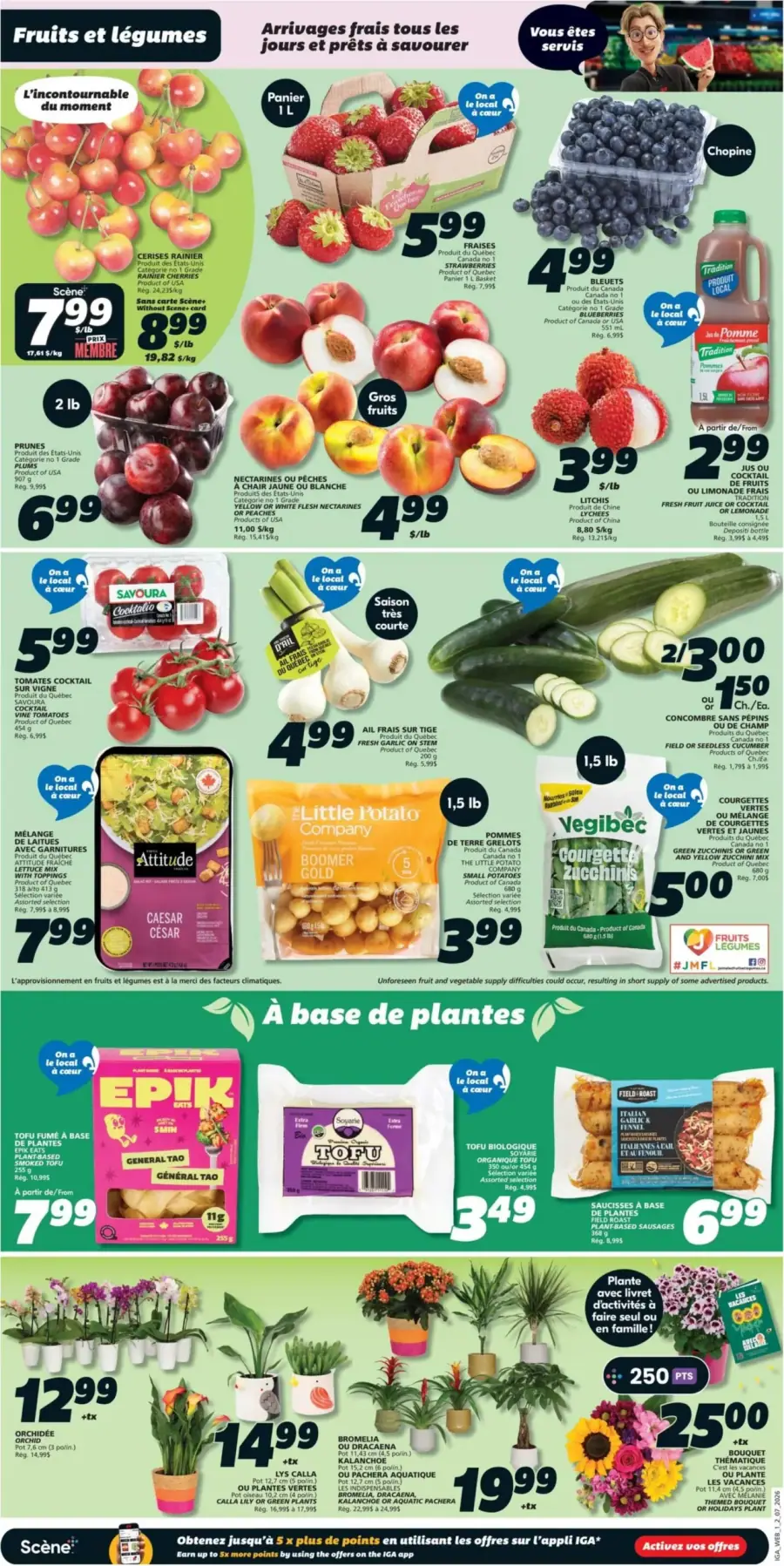 Page 3 du circulaire IGA.