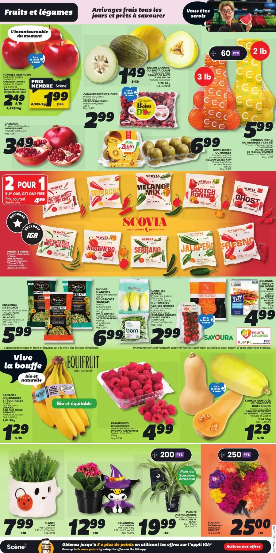 Page 3 du circulaire IGA.