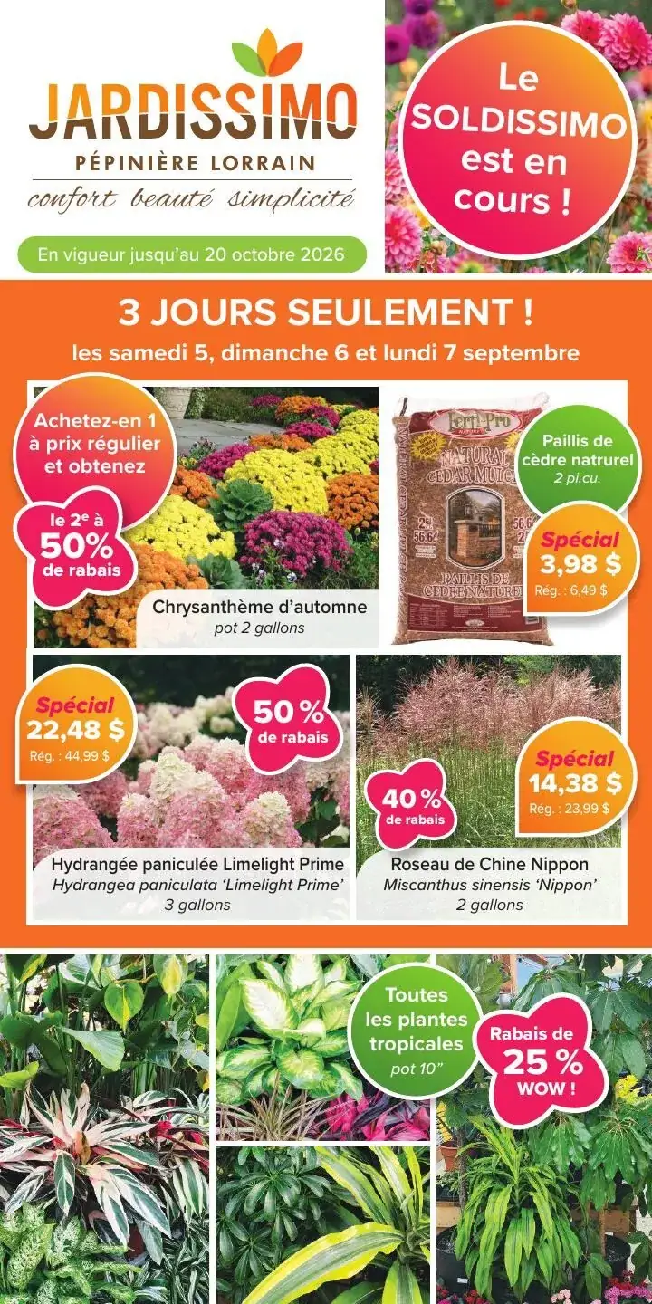 La page de couverture de la circulaire Jardissimo présente une ambiance colorée et accueillante, mettant en avant une variété de plantes d'automne et tropicales. On y trouve des chrysanthèmes, des hydrangeas et des roseaux, accompagnés de promotions attractives comme des rabais de 50 % sur certains articles. Les offres spéciales incluent des prix réduits sur le paillis de cèdre et une promotion de 25 % sur toutes les plantes tropicales.