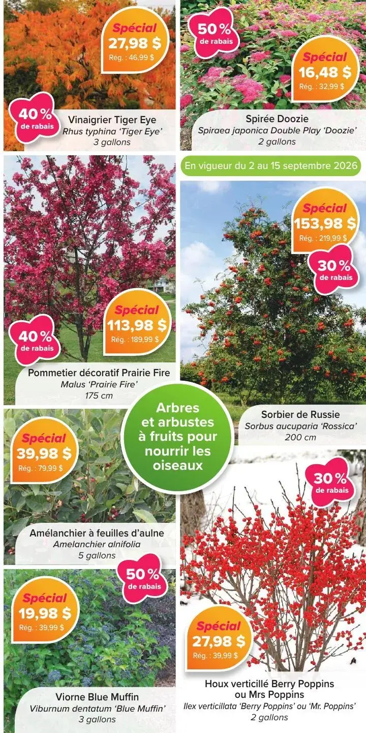 Page 3 du circulaire Jardissimo.