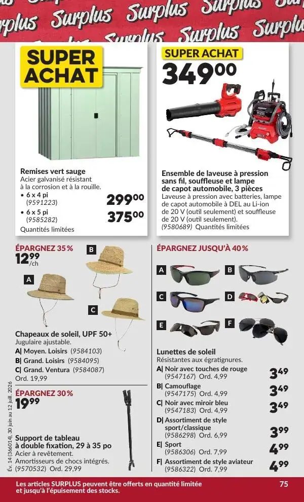 Page 80 du circulaire Princess Auto.