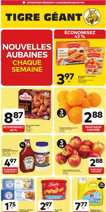 Aperçu de la Circulaire Tigre Géant du 21 au 27 octobre 2026