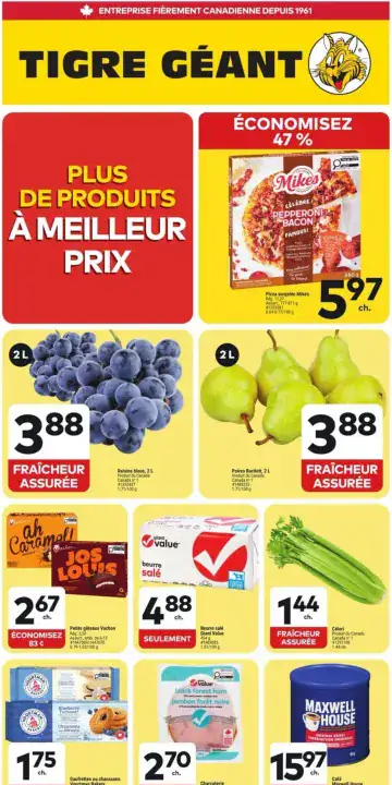 Aperçu de la Circulaire Tigre Géant du 9 au 15 septembre 2026