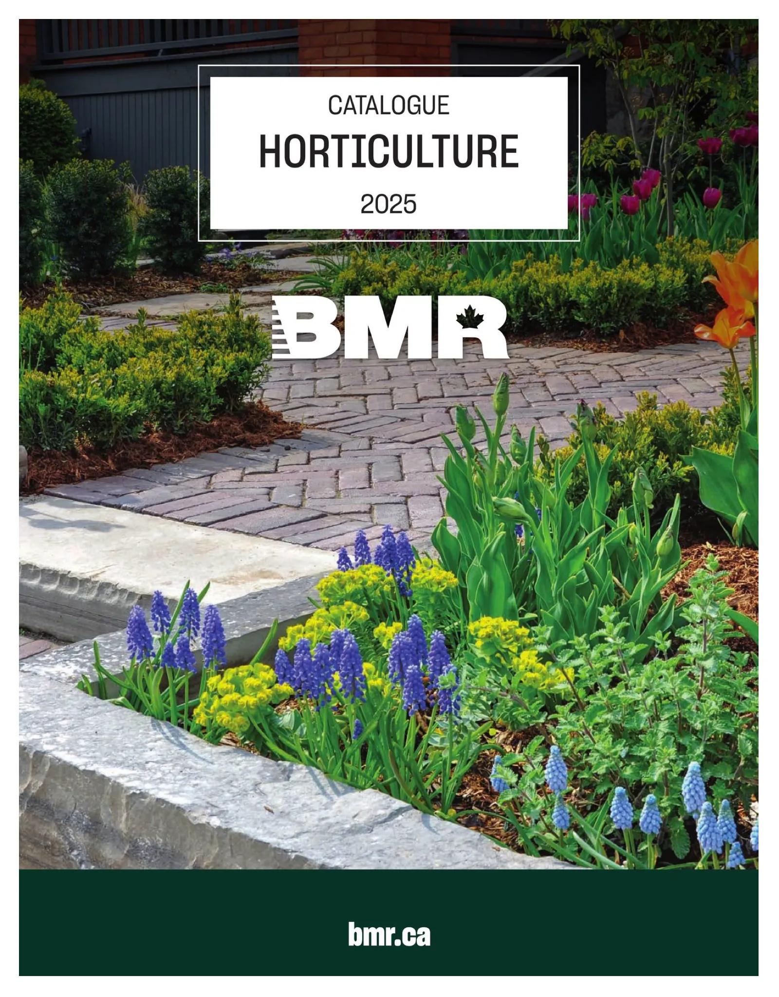 Page 1 de la Circulaire BMR Horticulture du 10 avril au 31 décembre 2025