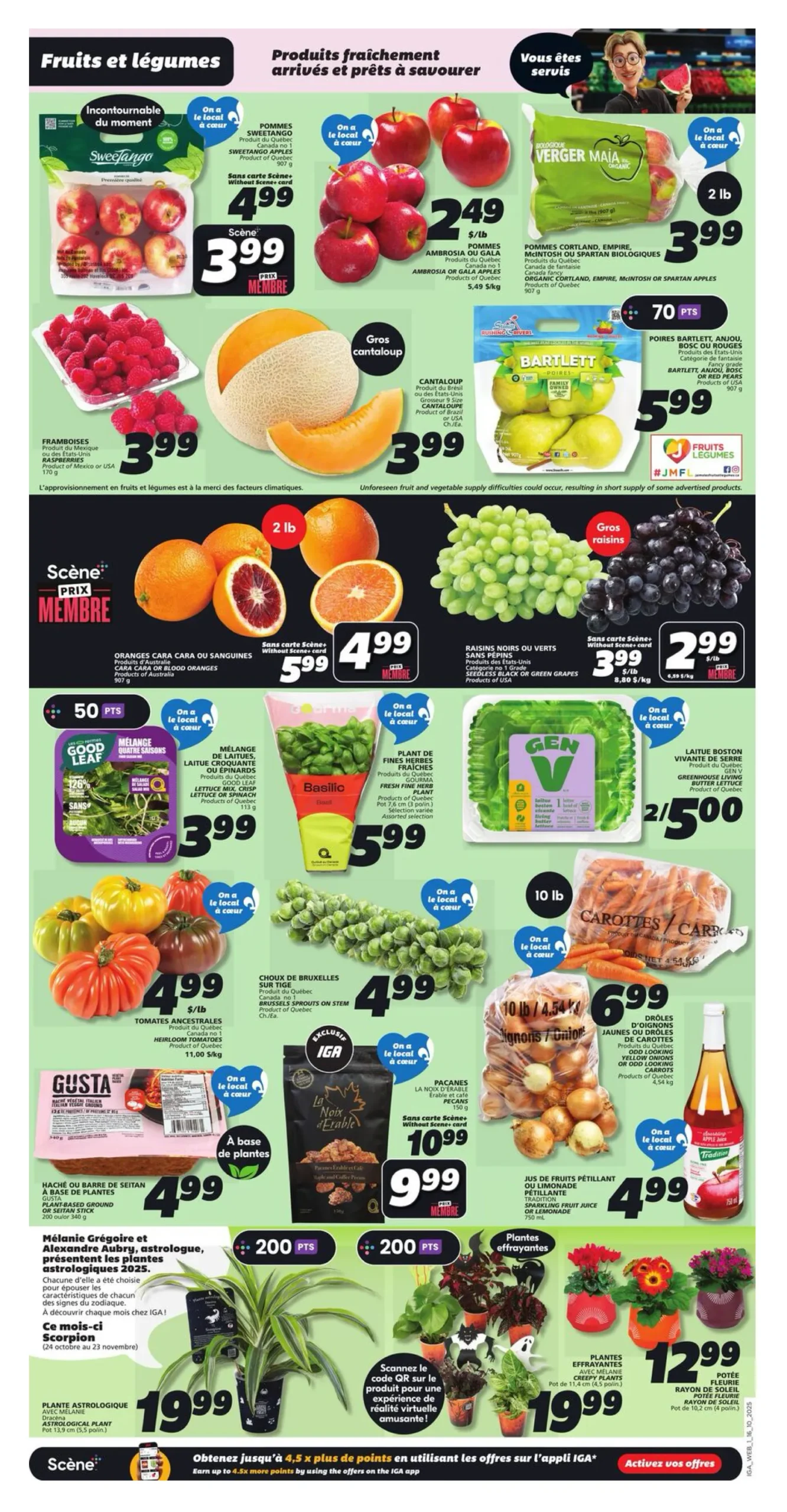 Page 3 de la Circulaire IGA du 16 au 22 octobre 2025