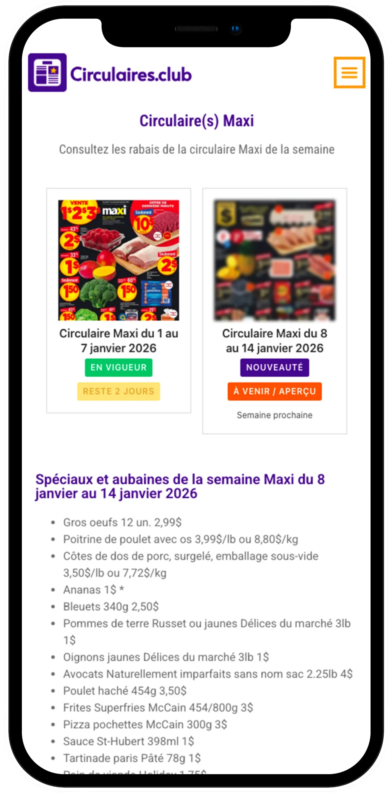Aperçu d'une page magasin pour consultez vos circulaire et meilleures rabais pun magasin à la fois.