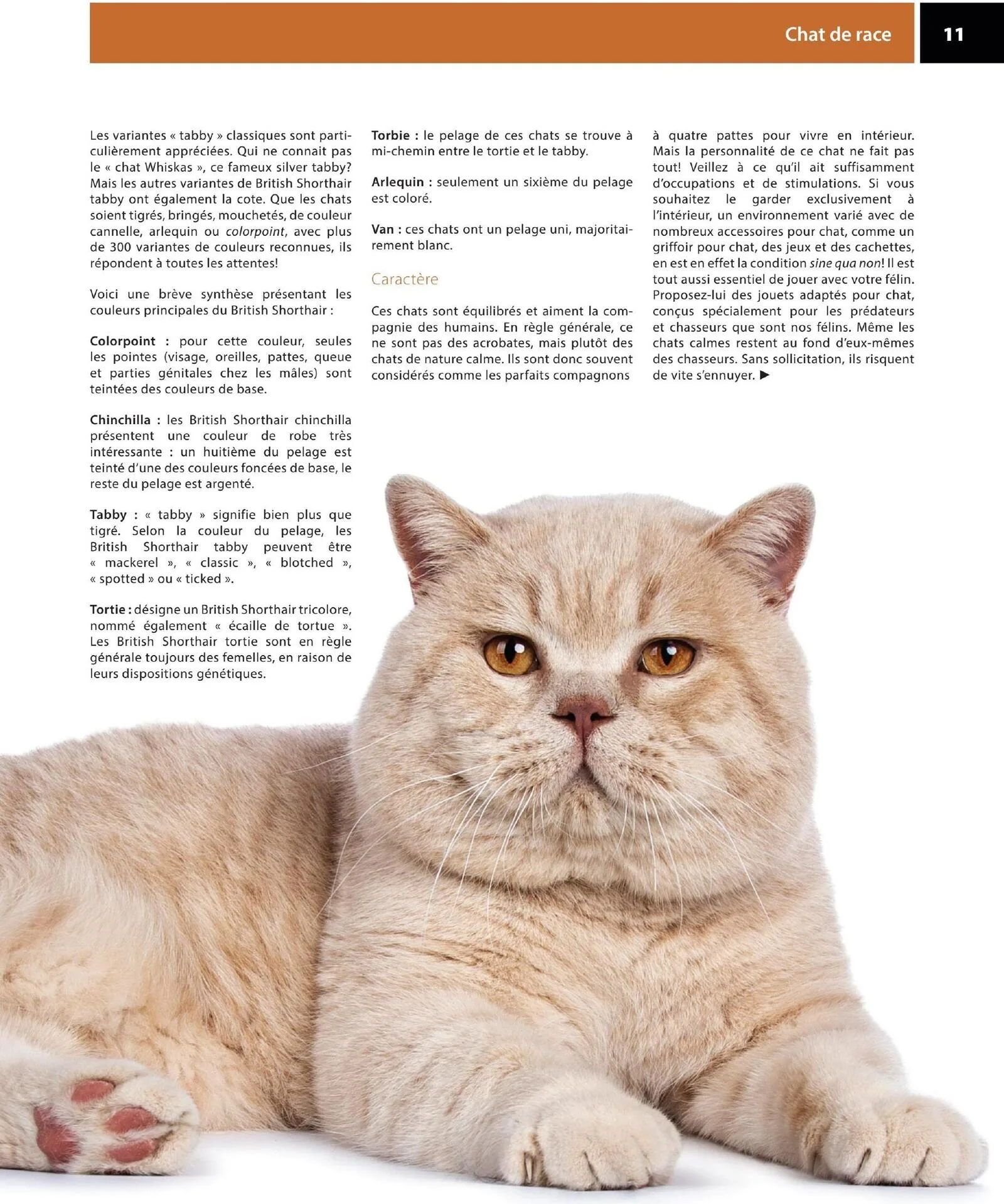 Page 11 de la Circulaire Animo etc du 21 au 30 août 2026