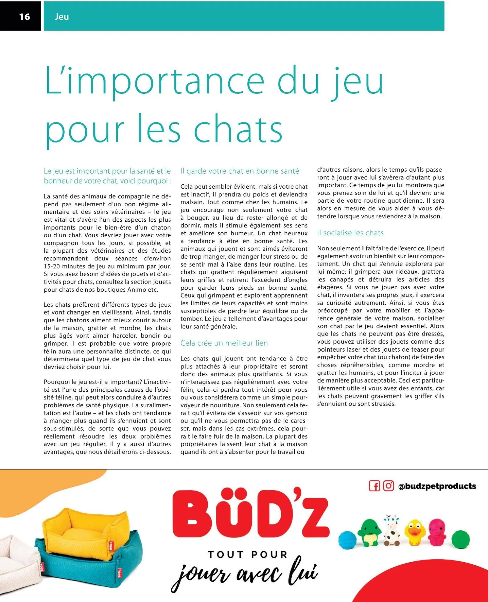 Page 16 de la Circulaire Animo etc du 21 au 30 août 2026
