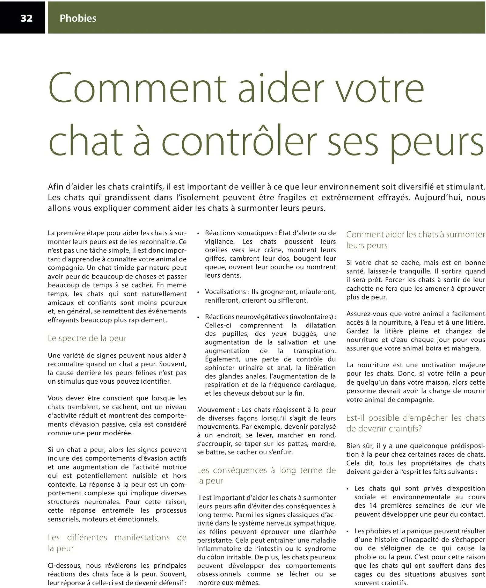 Page 32 de la Circulaire Animo etc du 21 au 30 août 2026
