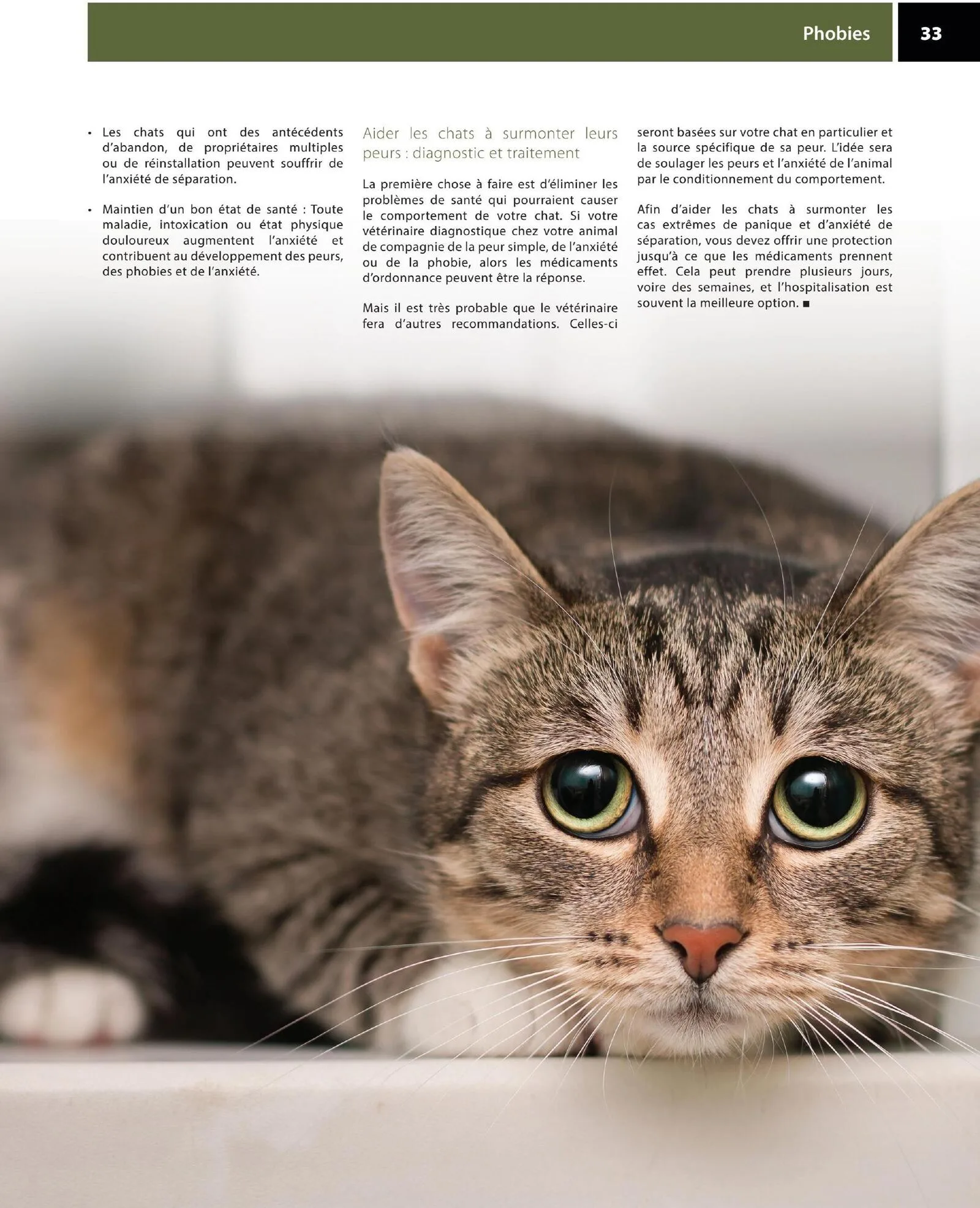 Page 33 de la Circulaire Animo etc du 21 au 30 août 2026