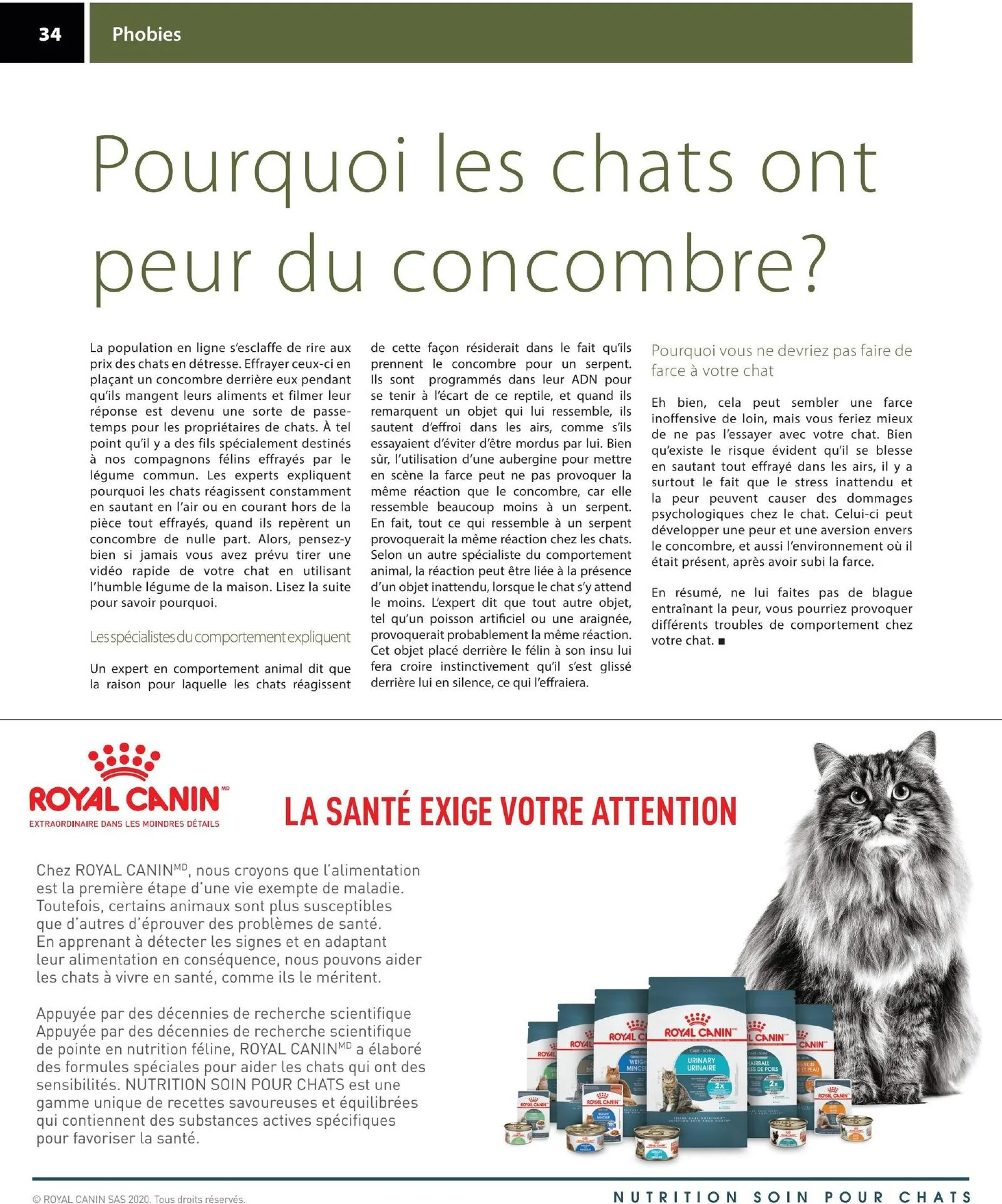 Page 34 de la Circulaire Animo etc du 21 au 30 août 2026