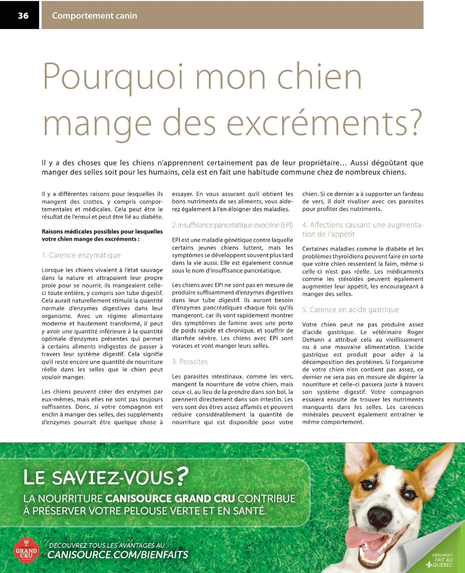 Page 36 de la Circulaire Animo etc du 21 au 30 août 2026