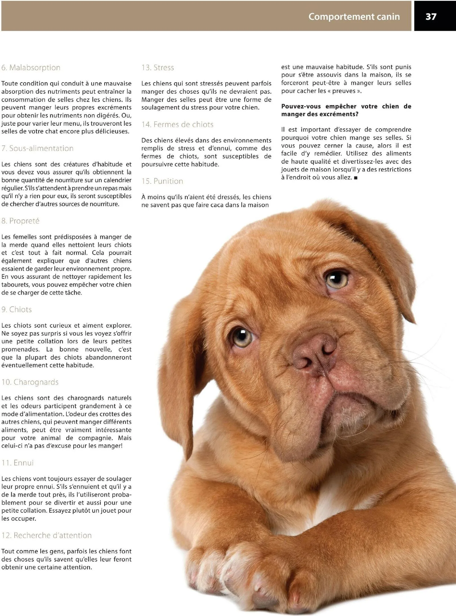 Page 37 de la Circulaire Animo etc du 21 au 30 août 2026