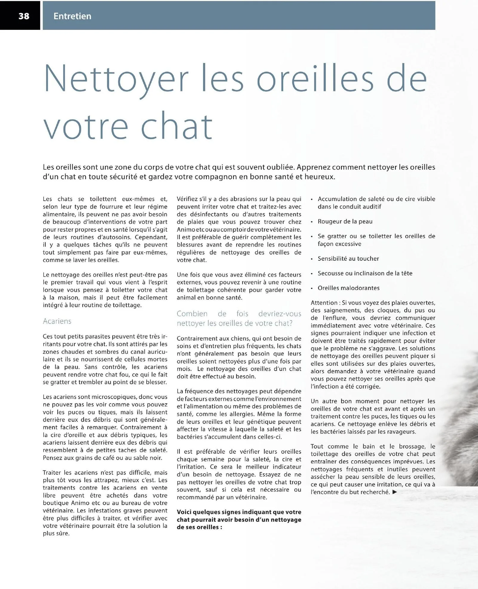 Page 38 de la Circulaire Animo etc du 21 au 30 août 2026