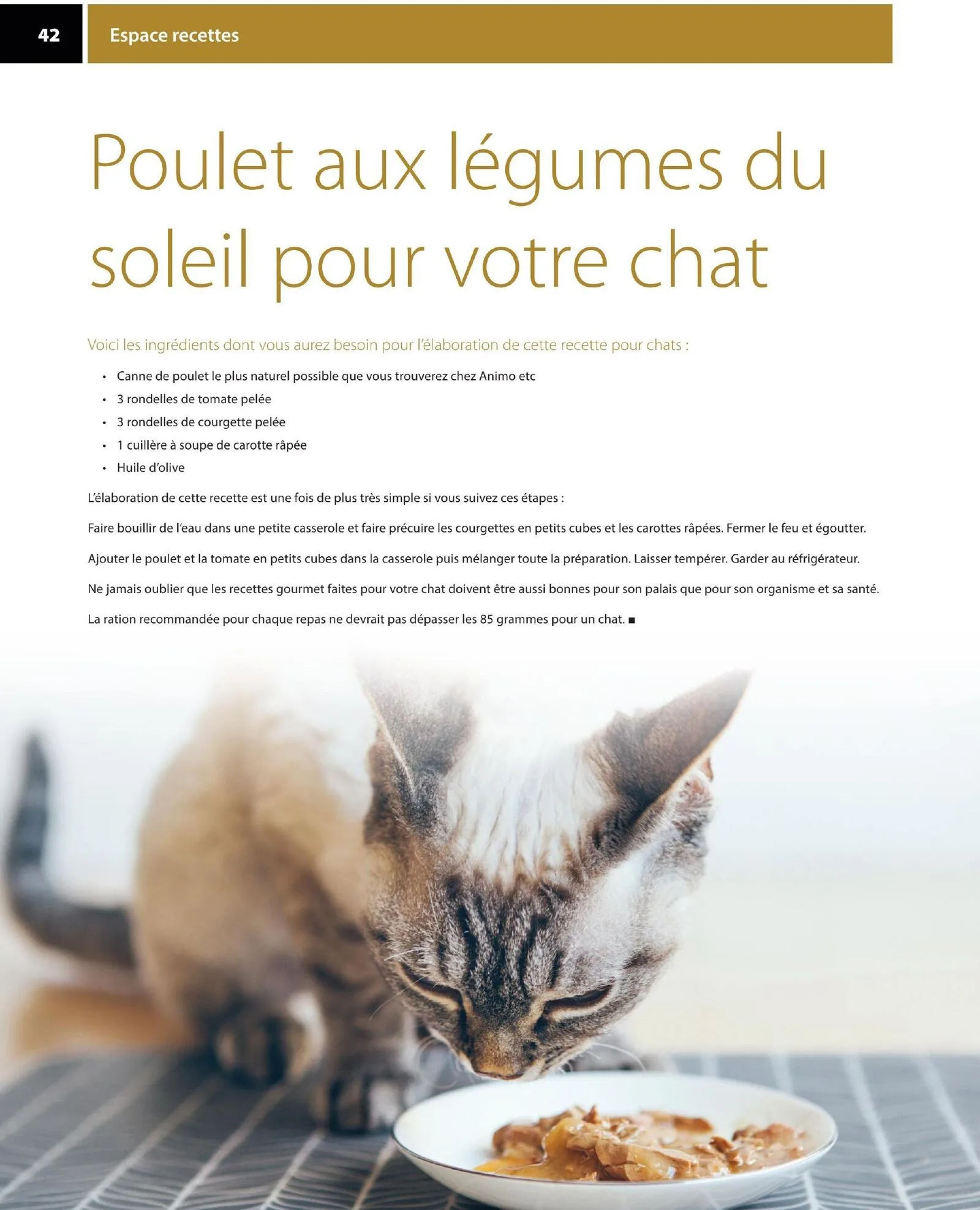 Page 42 de la Circulaire Animo etc du 21 au 30 août 2026