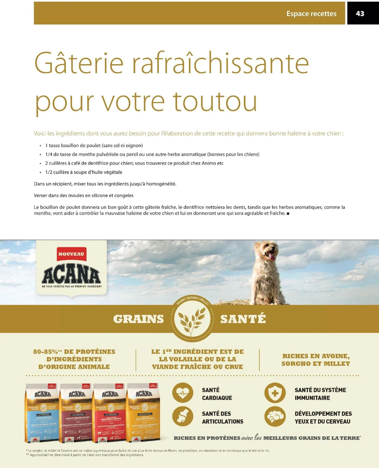 Page 43 de la Circulaire Animo etc du 21 au 30 août 2026