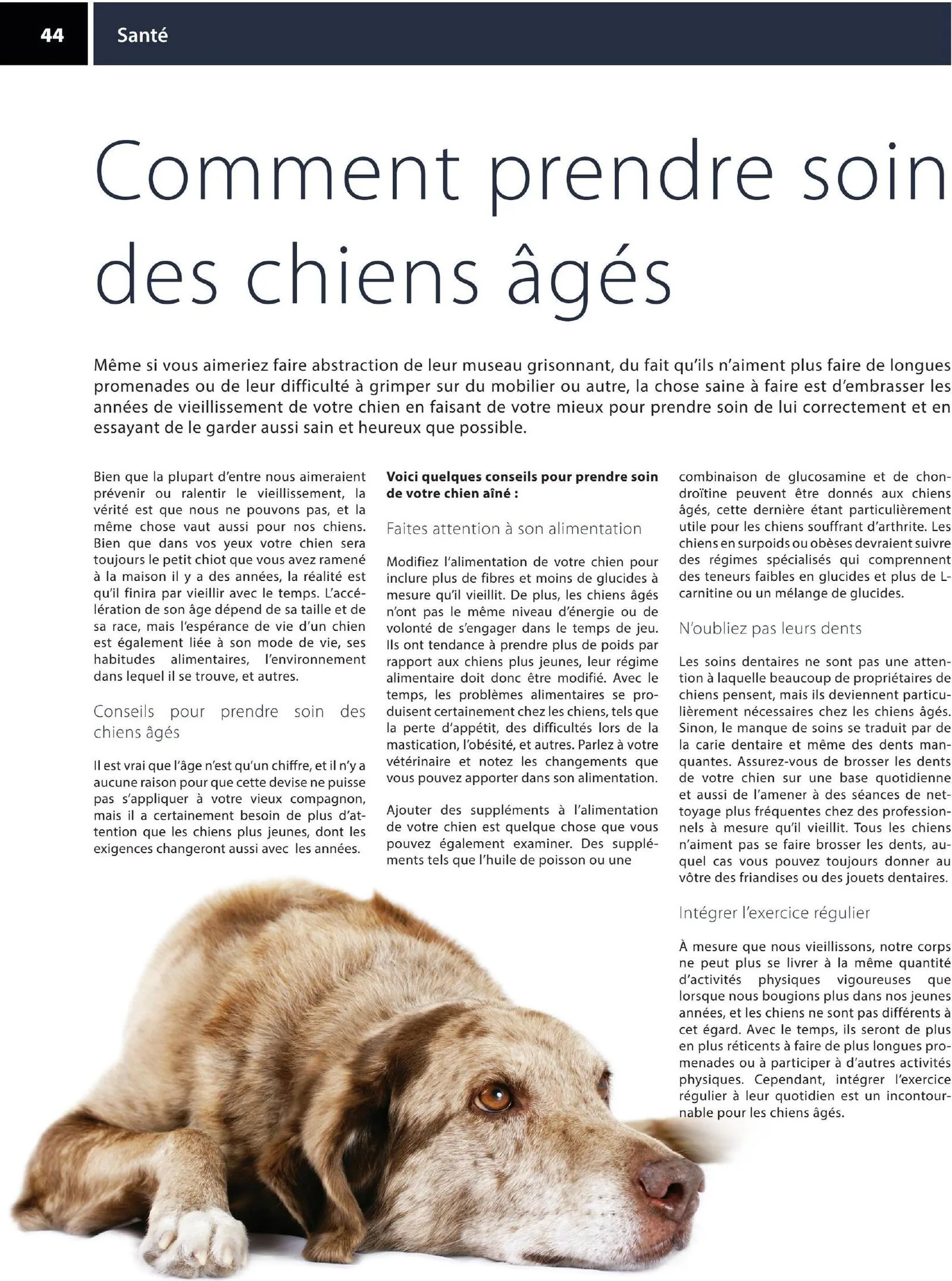 Page 44 de la Circulaire Animo etc du 21 au 30 août 2026
