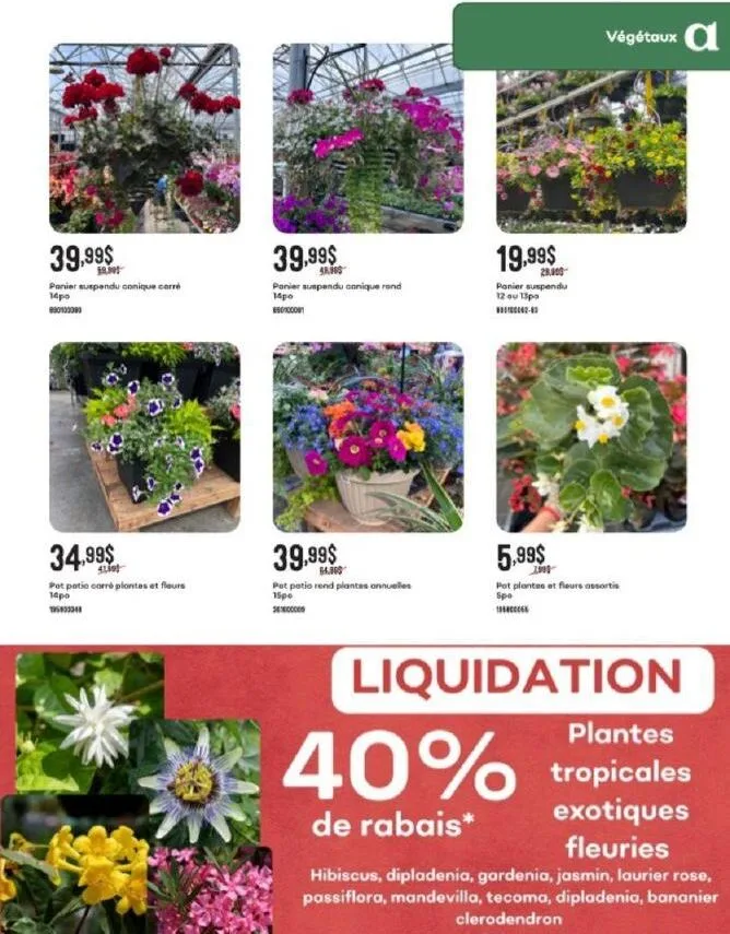 Page 8 de la Circulaire Archipel du 9 au 22 juillet 2026