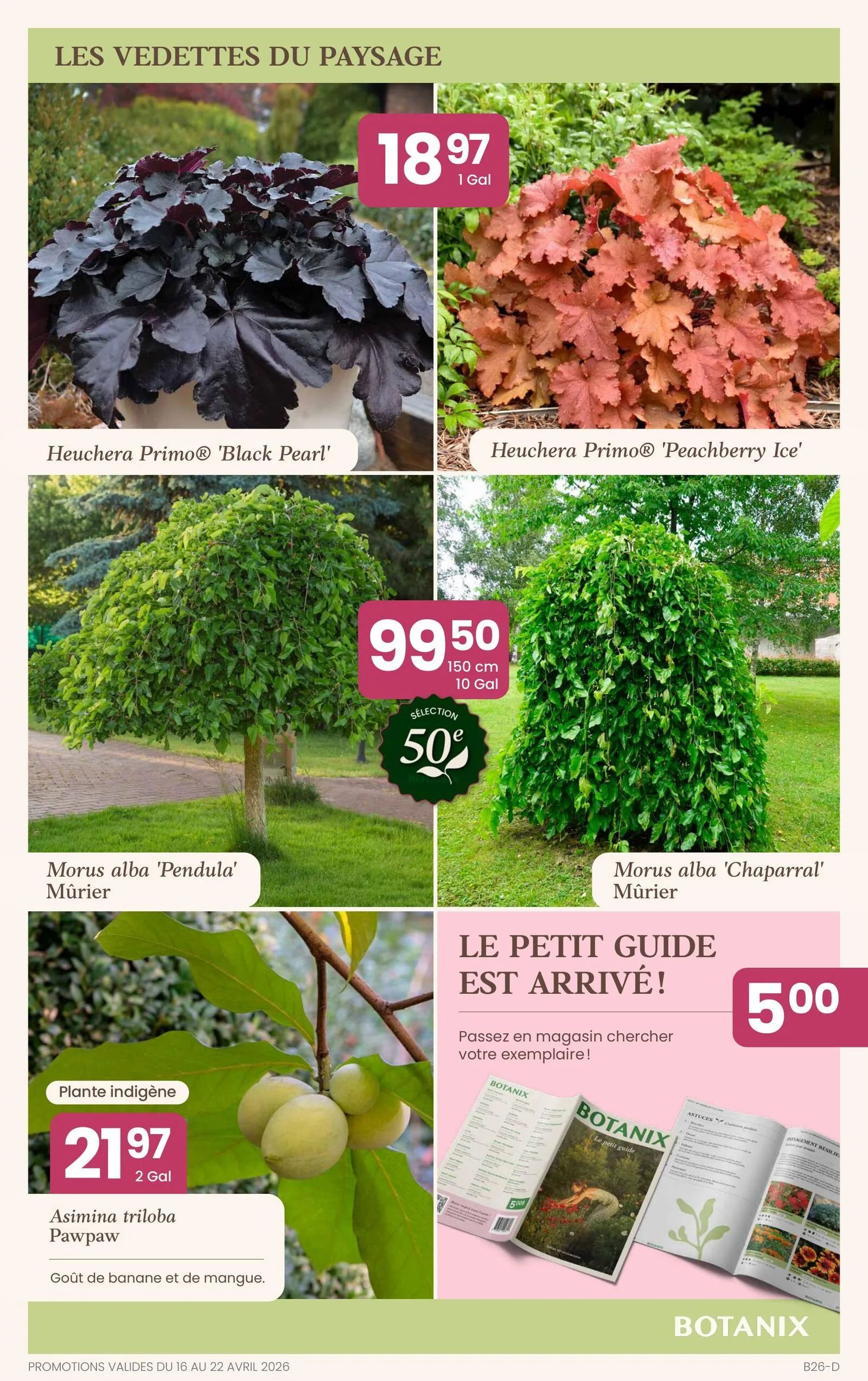 Page 5 de la Circulaire Botanix du 16 au 22 avril 2026