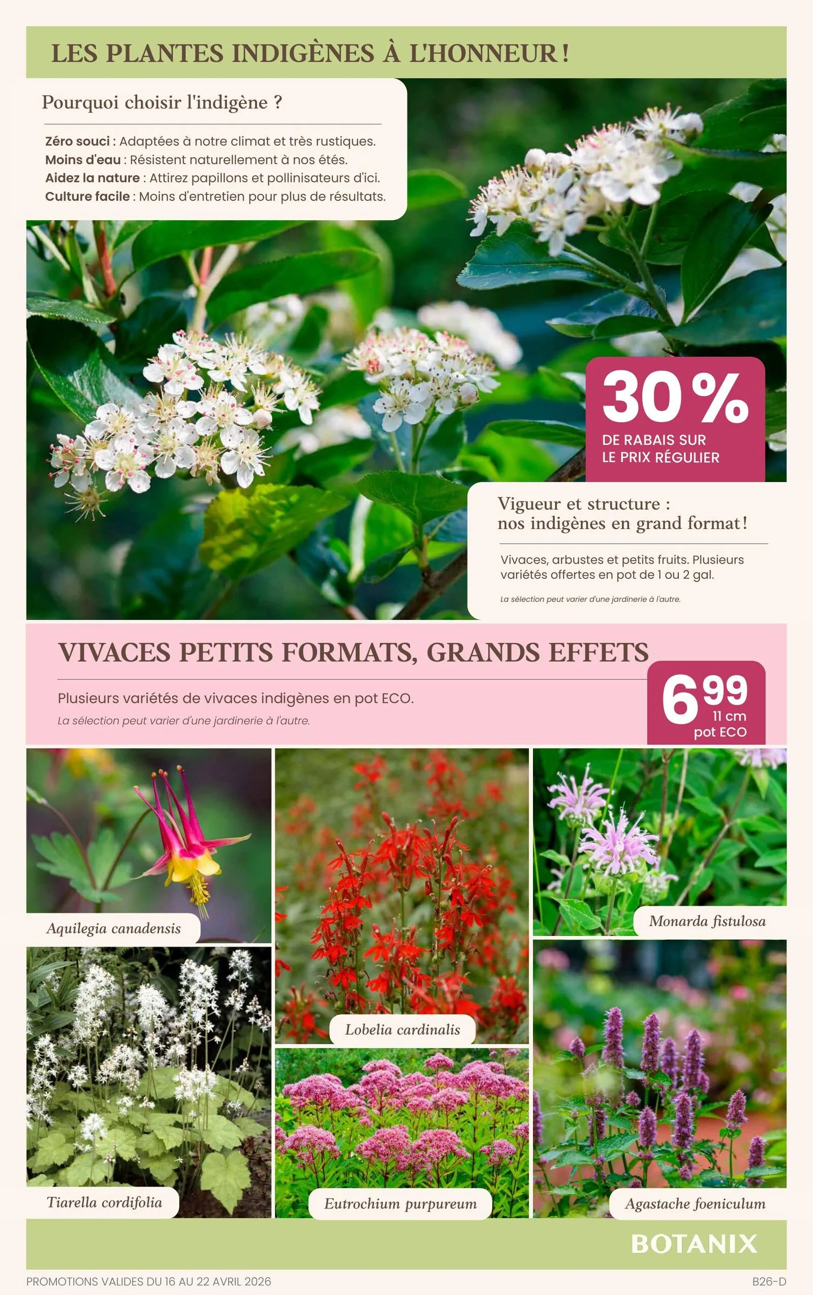 Page 7 de la Circulaire Botanix du 16 au 22 avril 2026