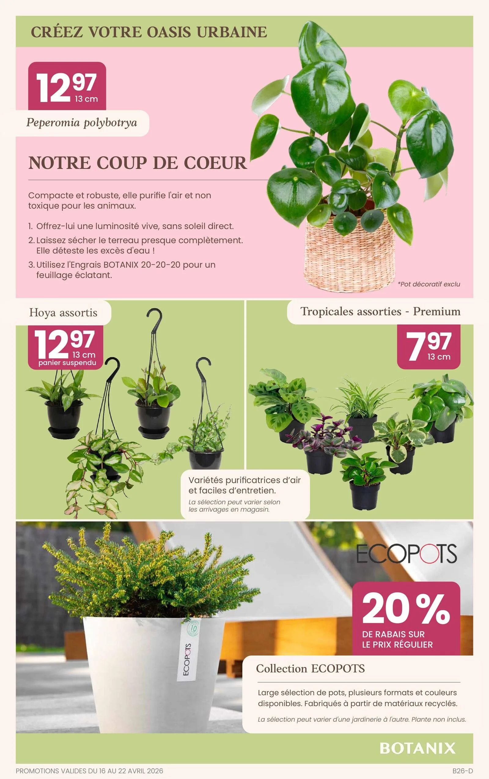 Page 8 de la Circulaire Botanix du 16 au 22 avril 2026