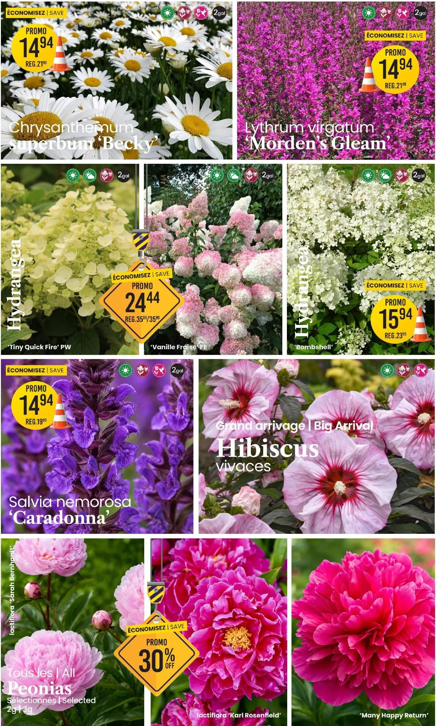 Page 2 de la Circulaire Centre de Jardin Brossard du 16 au 29 juillet 2026