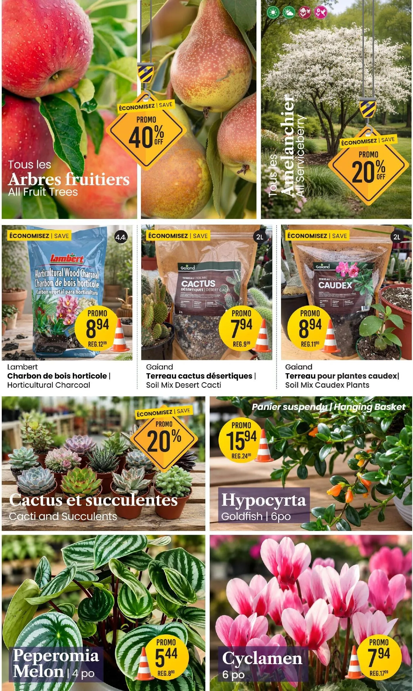 Page 3 de la Circulaire Centre de Jardin Brossard du 16 au 29 juillet 2026