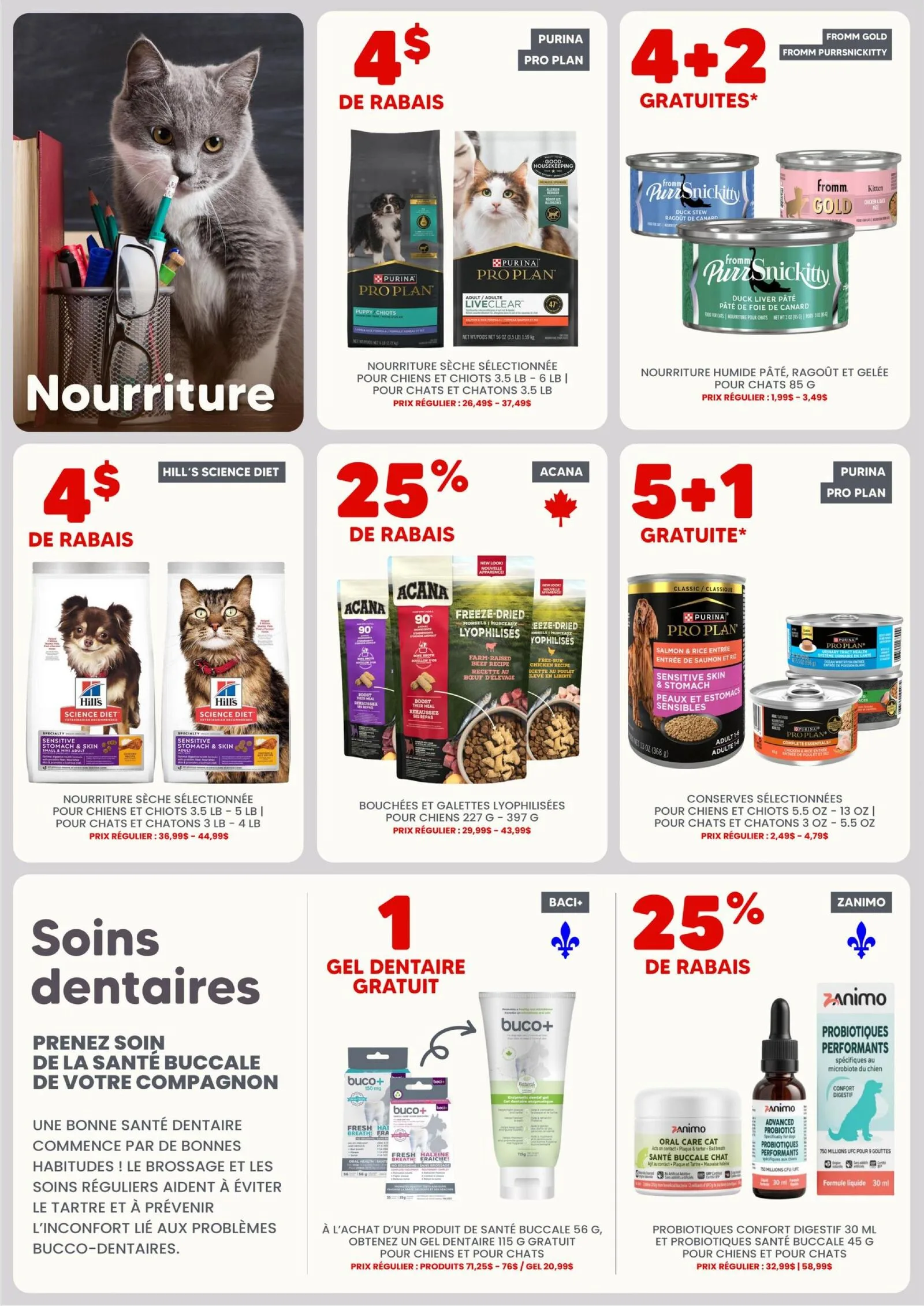 Page 3 de la Circulaire Chico du 20 août au 2 septembre 2026