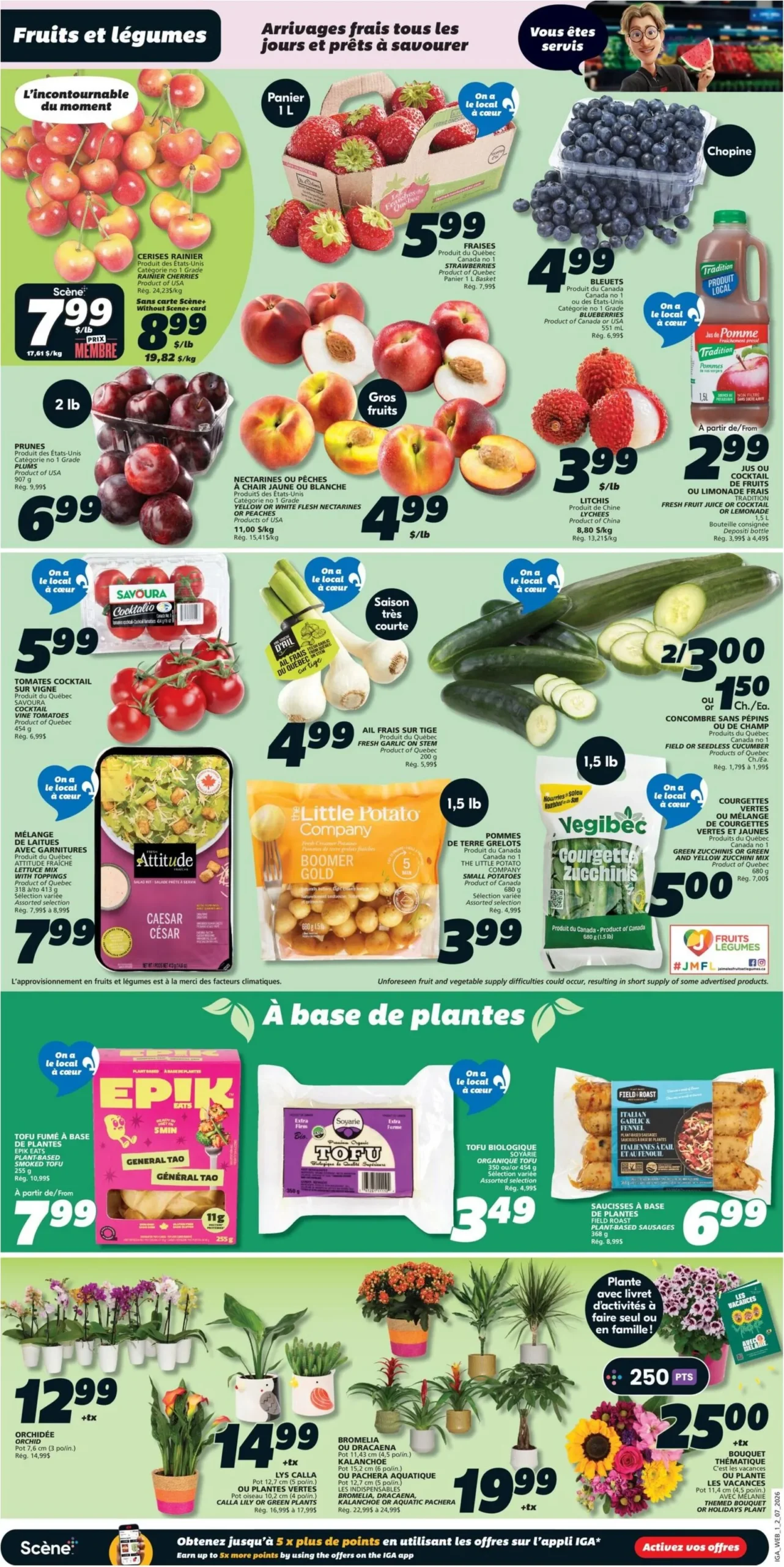 Page 3 de la Circulaire IGA du 2 au 8 juillet 2026
