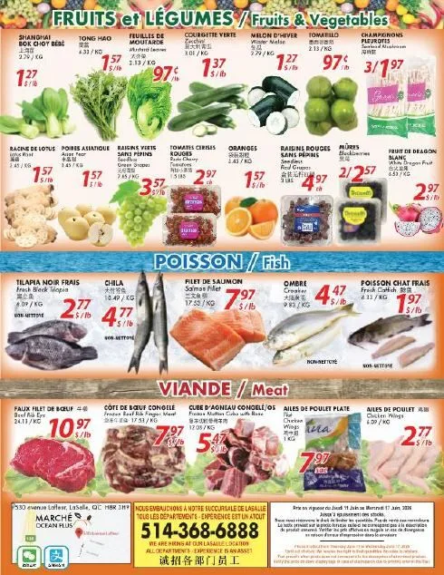 Page 4 de la Circulaire Marché Ocean Plus du 11 au 17 juin 2026