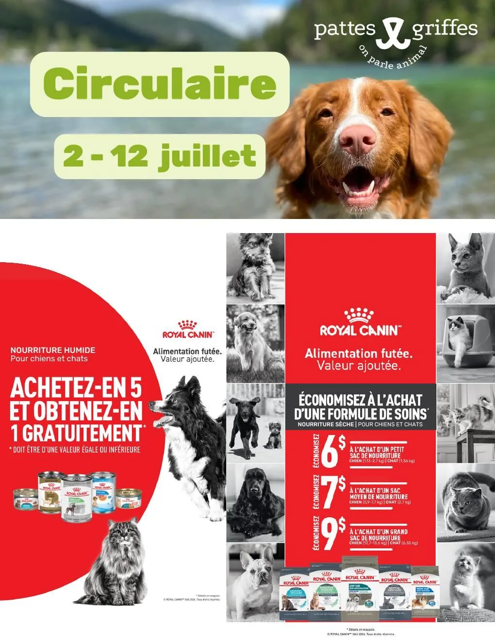 Page 1 de la Circulaire Pattes et Griffes du 2 au 12 juillet 2026