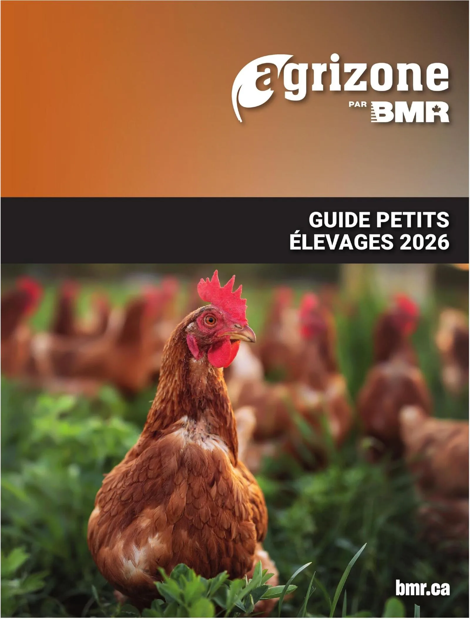 Page 1 de la Guide des petit élevages BMR Agrizone du 6 février au 31 décembre 2026